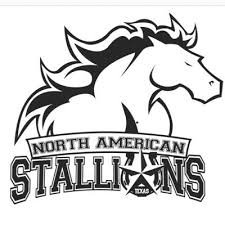 North American University logo